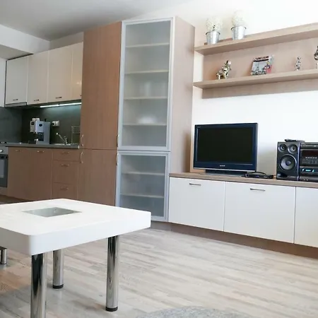 Lozenets Apartment *