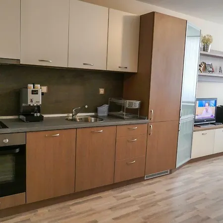 Lozenets Apartament *